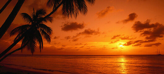 trinidad_and_tobago